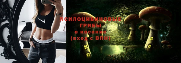 дживик Абаза