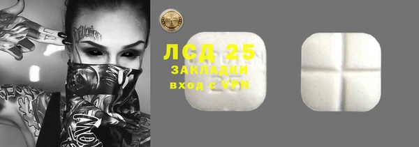 дживик Абаза
