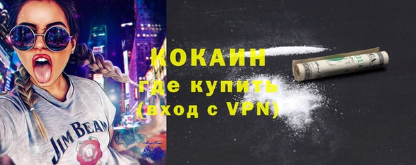 дживик Абаза