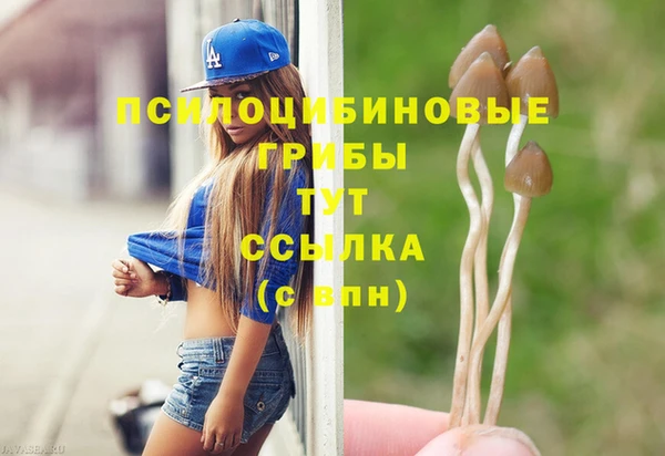 дмт Абинск