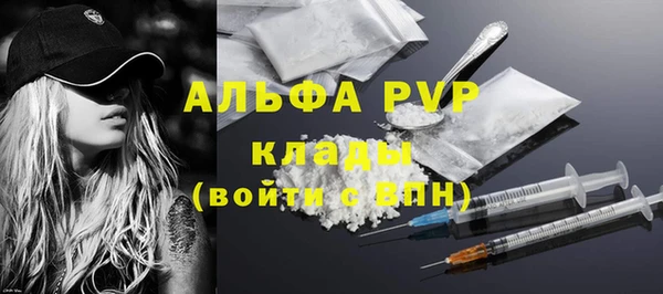 дживик Абаза