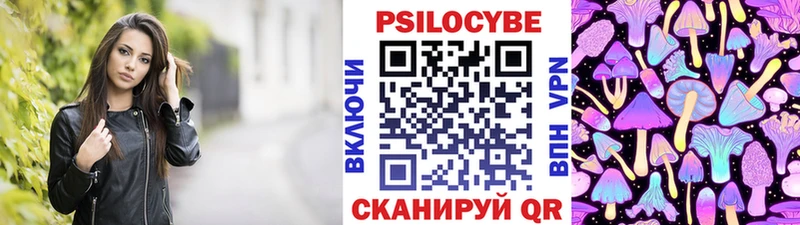 Псилоцибиновые грибы Cubensis Тимашёвск
